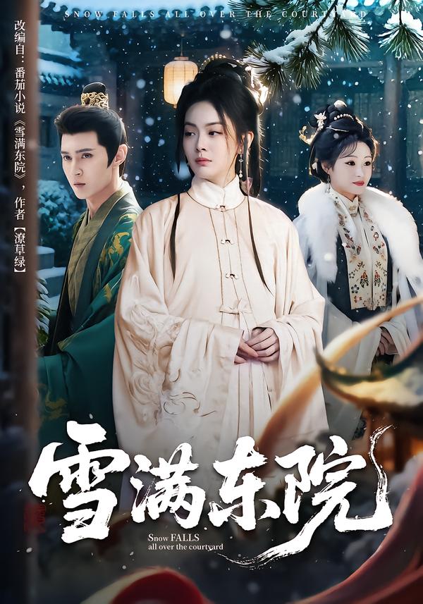 雪满东院封面图
