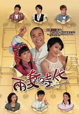 两妻时代粤语封面图