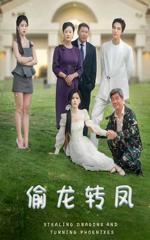 偷龙转凤封面图