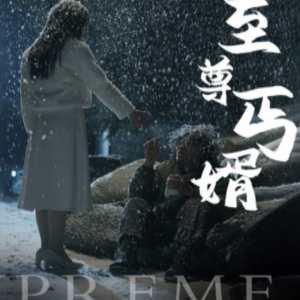 至尊丐婿封面图