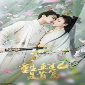 重生王妃是首富封面图