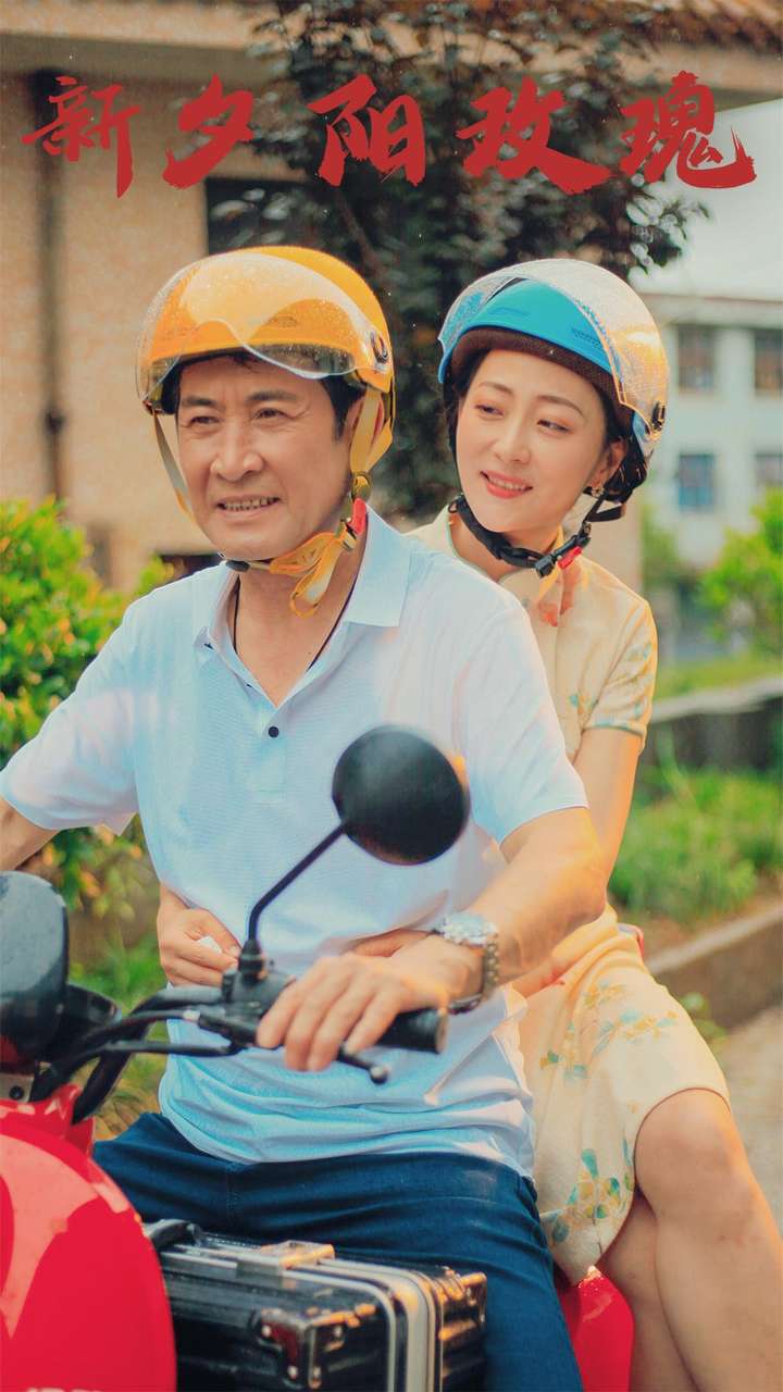 新夕阳玫瑰封面图