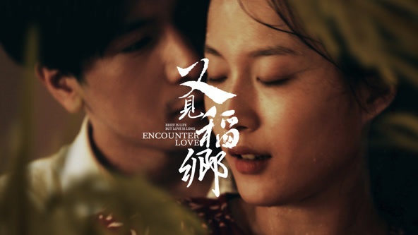 又见稻乡封面图