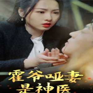 霍爷哑妻是神医封面图