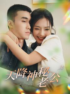 天降神秘老公封面图