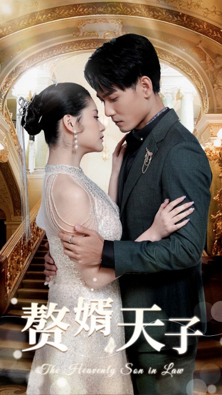 赘婿天子封面图