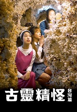古灵精怪台湾篇封面图