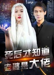 死后才知道老婆是大佬封面图