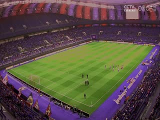 亚冠小组赛 柔佛DTvs巴吞联 (张天翼) 20231212封面图