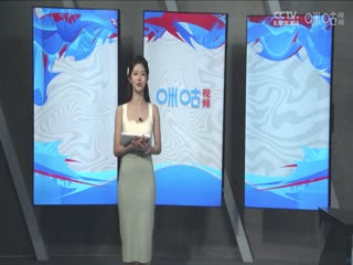 CBA常规赛第17轮 深圳马可波罗VS山东高速 20231216（徐秦威、徐咏、许家玥）封面图