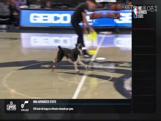 NBA常规赛 活塞VS魔术 20231209封面图