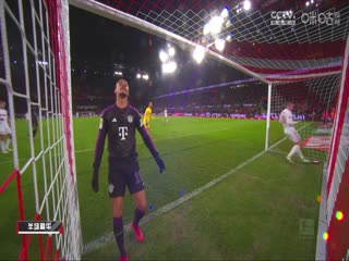 德甲 科隆vs拜仁慕尼黑 (胡小凡、张力) 20231124封面图