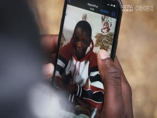 德甲 弗赖堡vs达姆施塔特 (吴子越) 20231125封面图