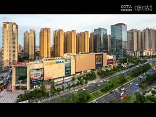 国际大体联足球世界杯 波尔多大学vs悉尼大学 20231031封面图