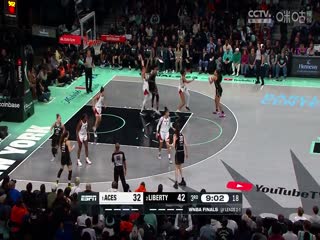 WNBA总决赛 纽约自由人vs拉斯维加斯王牌 20231018封面图