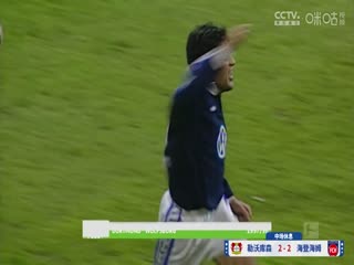 德甲联赛 勒沃库森VS海登海姆 20241123封面图