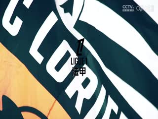 西甲联赛 马德里竞技VS阿拉维斯 20241123封面图