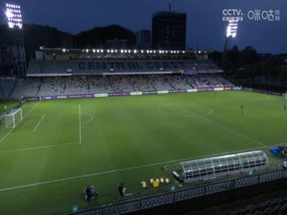 亚冠精英联赛阶段 中央海岸水手VS横滨水手 20241203封面图