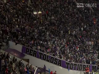 法甲联赛 图卢兹VS欧塞尔 20241202封面图