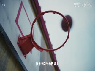 NBA常规赛 森林狼VS快船 20241205封面图