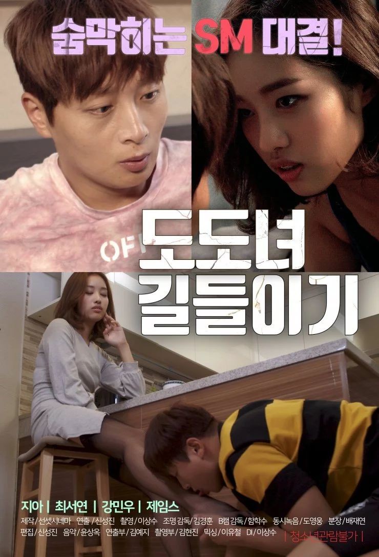 训练势利的女人封面图