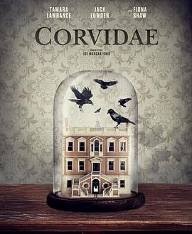 亲属关系封面图