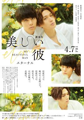 美丽的他电影版封面图