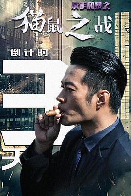 反诈风暴之猫鼠之战封面图