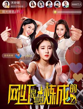 网红是怎样炼成的封面图