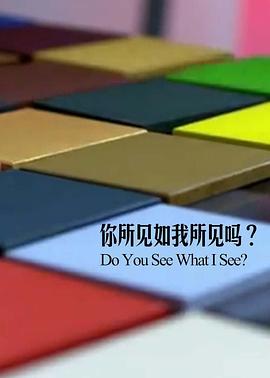 你所见如我所见吗封面图