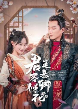 君是慕容卿似花封面图