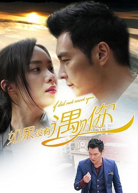 如果没有遇见你封面图