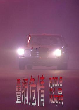 叠网危情封面图