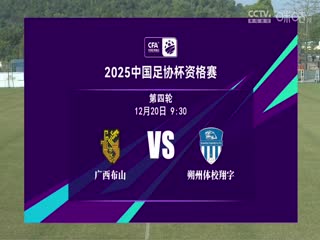 足协杯资格赛 广西布山VS朔州体校翔宇 20241220封面图