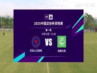 足协杯资格赛 青岛五月的风VS深圳兴隽 20241216封面图