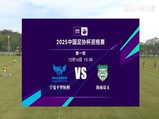 足协杯资格赛 宁夏平罗恒利VS海南双玉 20241216封面图
