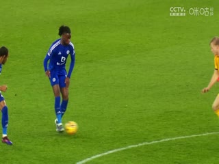 英超联赛 布莱顿VS水晶宫 20241215封面图