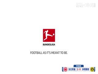 德甲联赛 法兰克福VS多特蒙德 20250118封面图