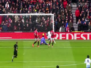 英超联赛 布莱顿VS埃弗顿 20250125封面图