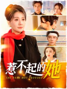 惹不起的她短剧封面图