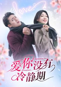 爱你没有冷静期封面图