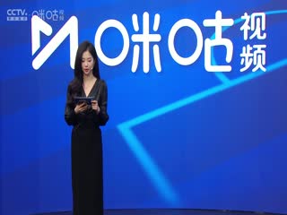 中超联赛 山东泰山VS大连英博海发 20250228封面图