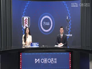 英超联赛 富勒姆VS托特纳姆热刺 20250316封面图