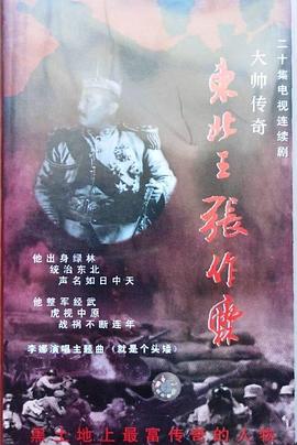 大帅传奇封面图