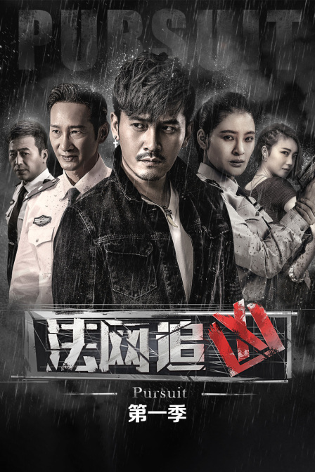 法网追凶第一季封面图