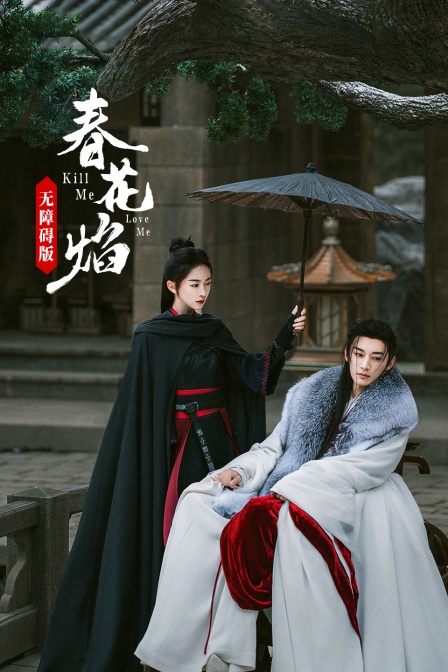 春花焰无障碍版封面图