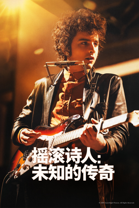 摇滚诗人：未知的传奇封面图