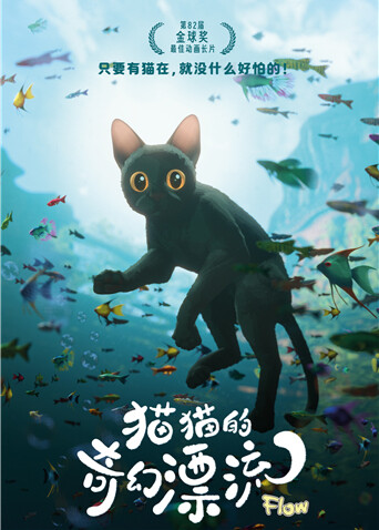 猫猫的奇幻漂流封面图