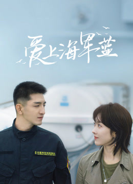 爱上海军蓝封面图