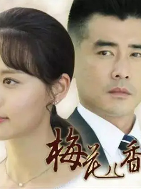 梅花儿香封面图